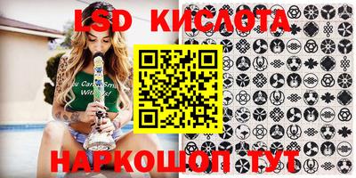 хмурый Кингисепп
