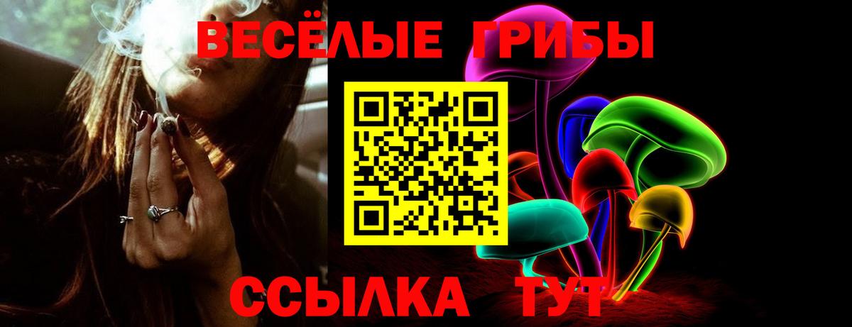 МЕФ кристаллы  ЭКСТАЗИ  Кингисепп  Вход с VPN  МЕФ  Марихуана  ГАШИШ 