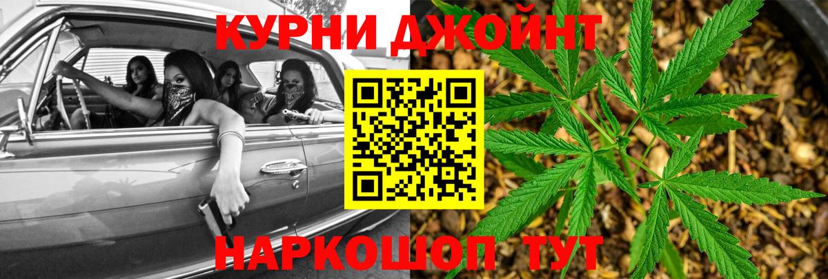 ГАШ Кингисепп
